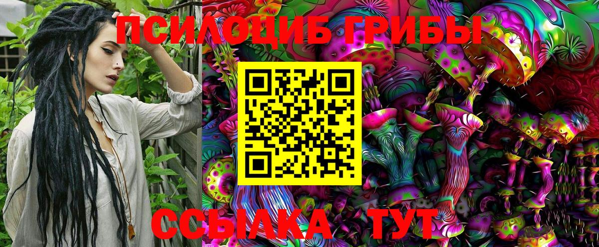 Галлюциногенные грибы Psilocybine cubensis  Вход с VPN  Галлюциногенные грибы MAGIC MUSHROOMS  Саранск 